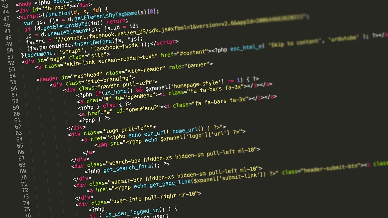Web Developer